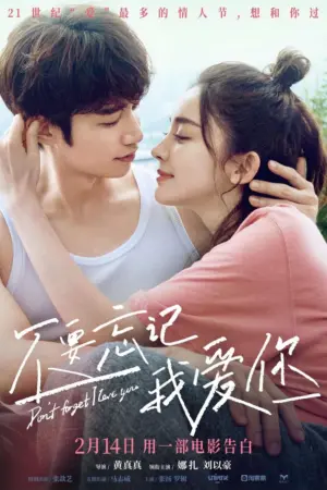 Đừng Quên Anh Yêu Em - Phim bộ